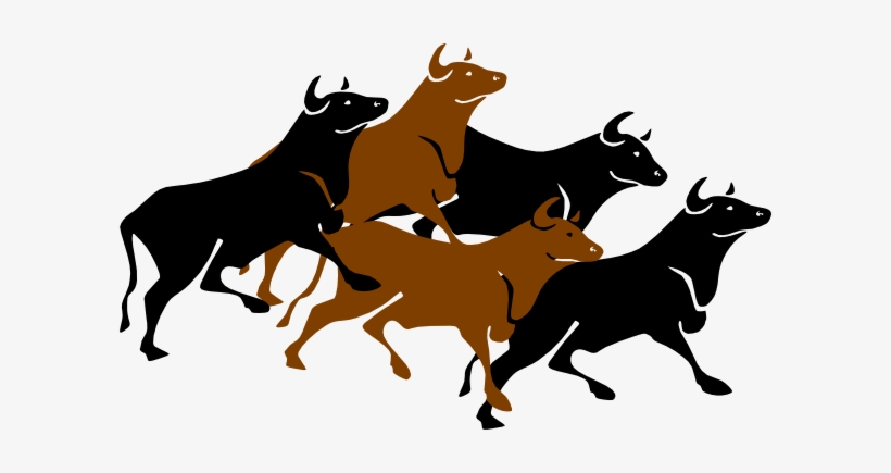 Bull Stampede Agitated Clip Art - Stampede Clipart, transparent png