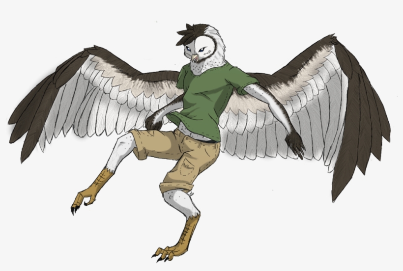 Drawn Furry Male Angel - Owl Furry Male, transparent png