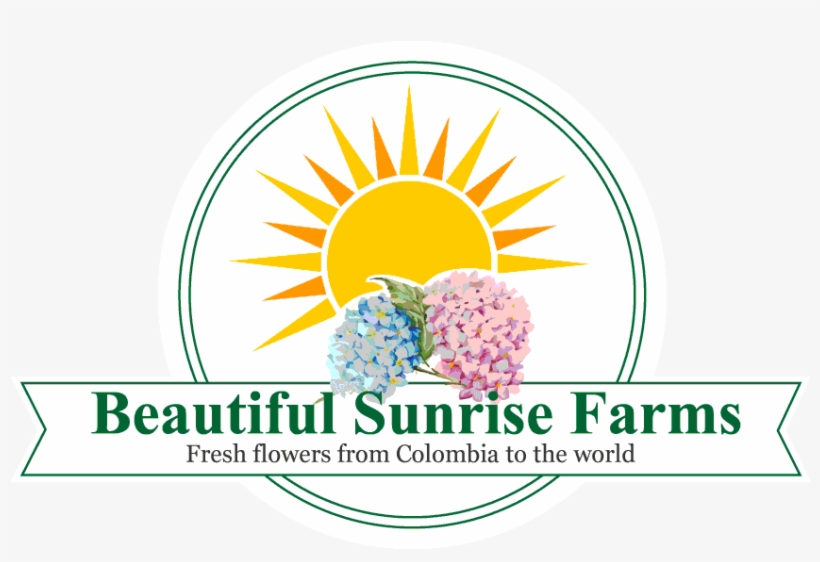 Logo Beautiful Sunrise Flowers Actualizado - Logo, transparent png