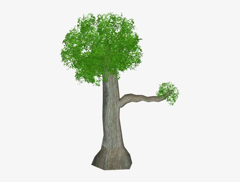 Small Perching Tree - Illustration, transparent png
