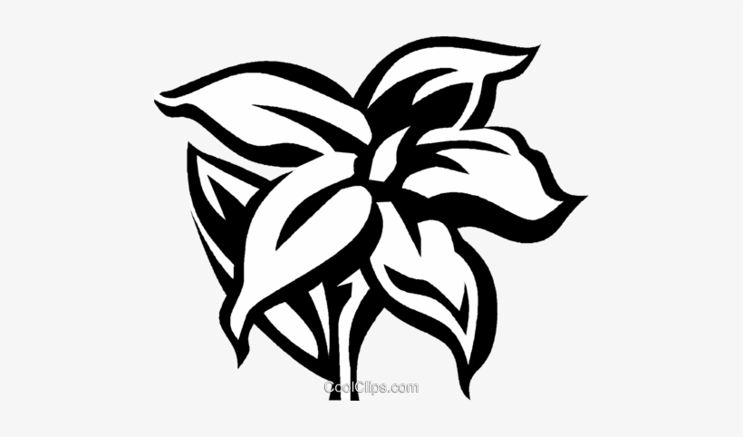 Jasmine Royalty Free Vector Clip Art Illustration - Jasmine Vector, transparent png
