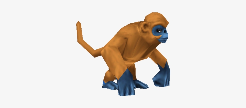She Is An Orange Monkey, With Grey Eyes - Wiki, transparent png