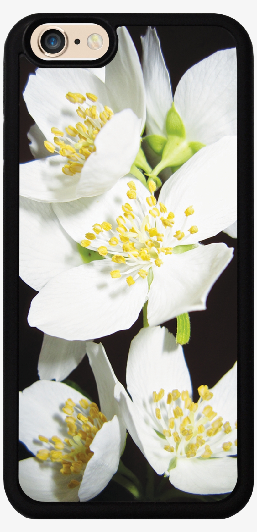 Jasmine Flowers Case - Der Duft Des Jasmins, transparent png