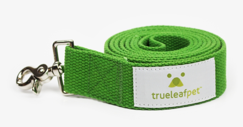 Product Image 1 - Dog, transparent png