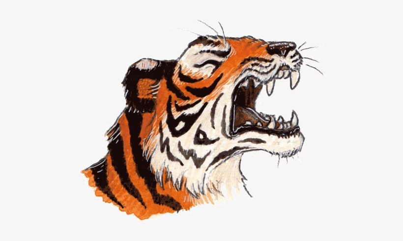 Power Of A Tiger - Siberian Tiger, transparent png