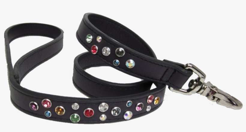 Belt, transparent png