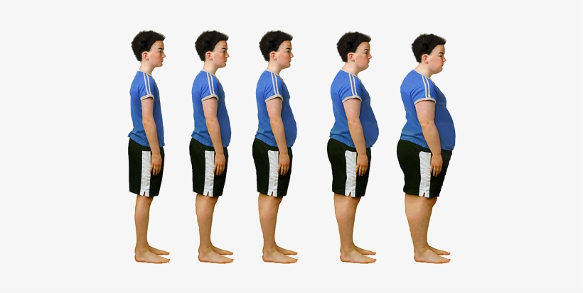 Why Do Some People Get Fat Even When They Eat Relatively - Teenage Puppy Fat, transparent png