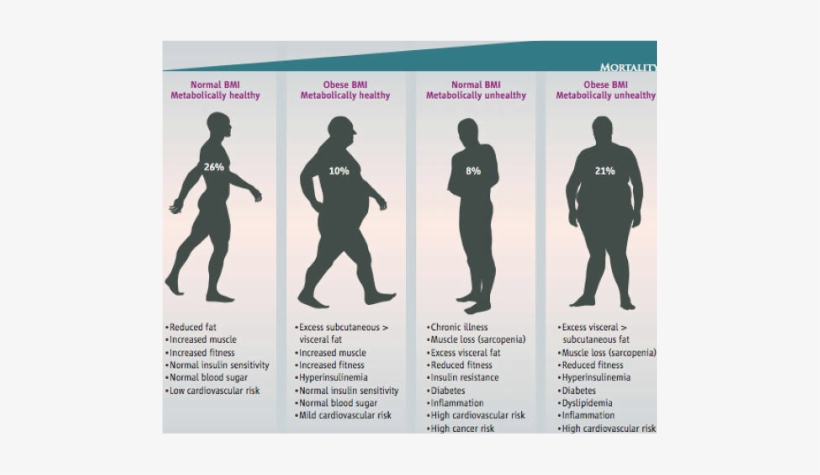 A Graphic Description Of Metabolically Healthy And - 18.5 Bmi, transparent png