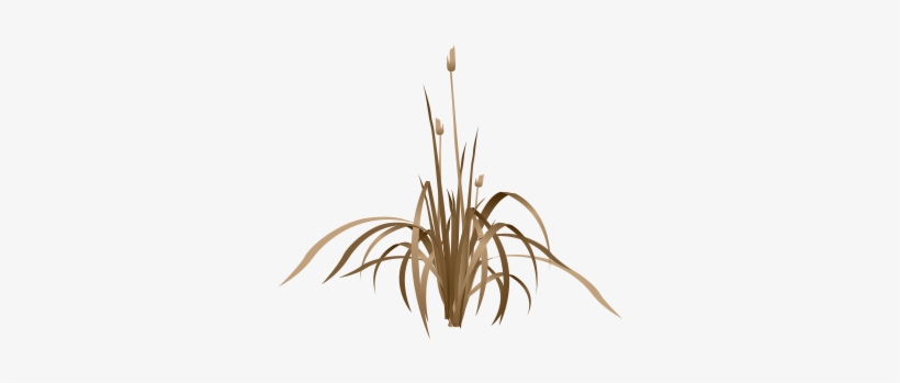 Start Over - - Plantas De Agua, transparent png