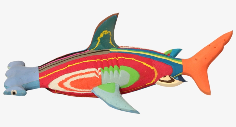 Hammerhead Shark, transparent png