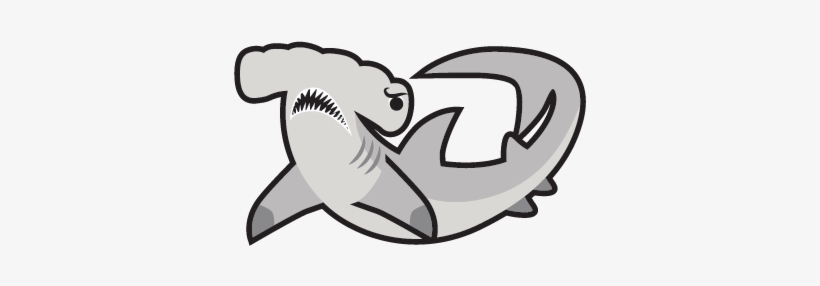 Hammerhead Shark Hammerhead Shark, transparent png