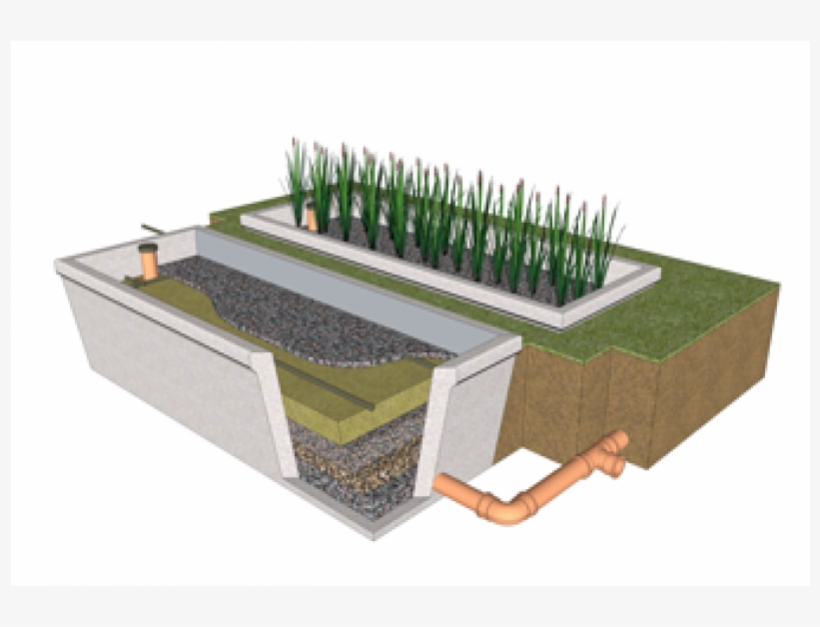 Twin Reed Bed Sewage Treatment Reed Beds Septic Tank 800x800 PNG