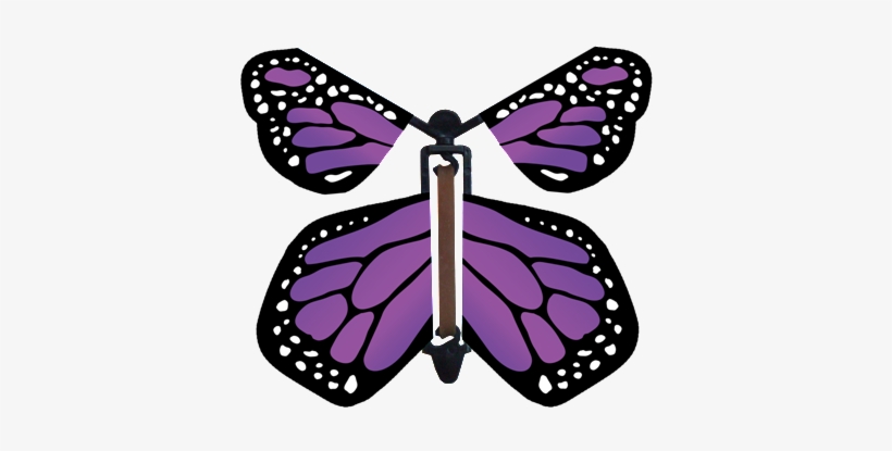 Our Perfect Purple Wind Up Flying Paper Butterfly Is - Flying Butterfly Card, transparent png