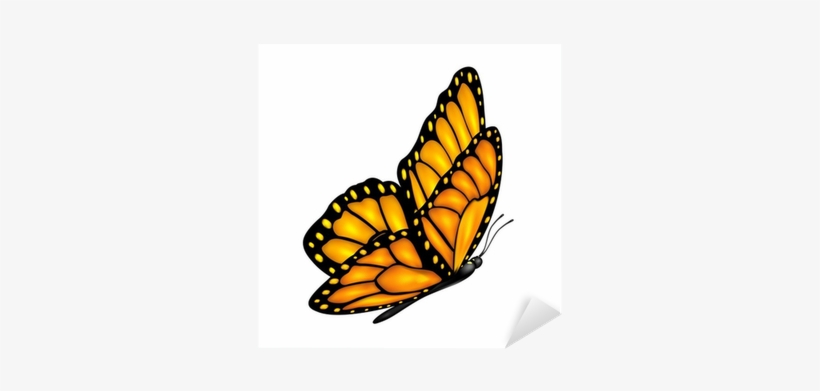 Buterfly Flying Clip Art, transparent png