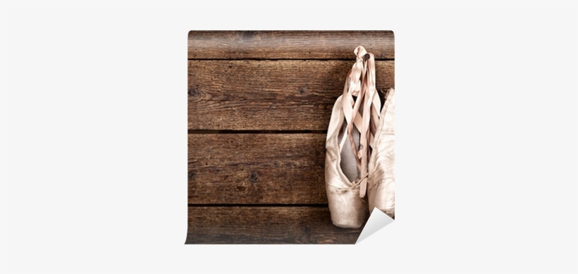 Ballet Shoe, transparent png