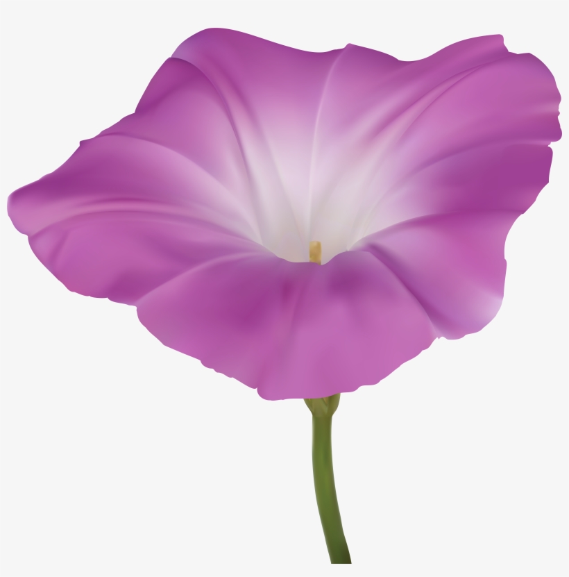 Morning Png, transparent png