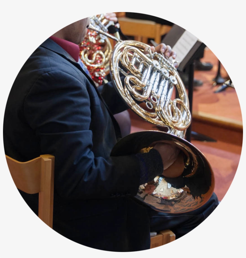 Back To Instrument Families - French Horn, transparent png