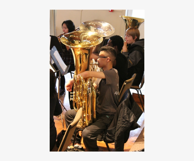 Previous - Tuba, transparent png