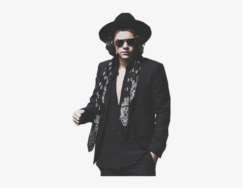 Overlay, Png, And Pngs Image - Cool Photos Of Harry Styles, transparent png