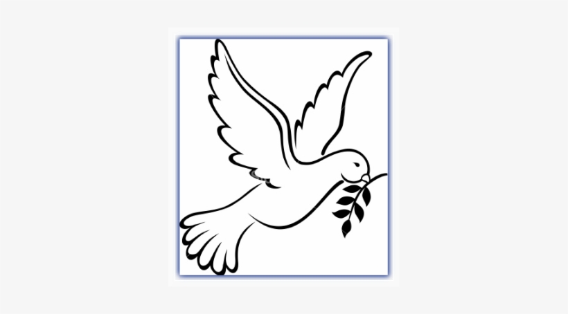 The Boys And Girls Of 5th And 6th Classes Received - Transparent Background Dove Clipart, transparent png