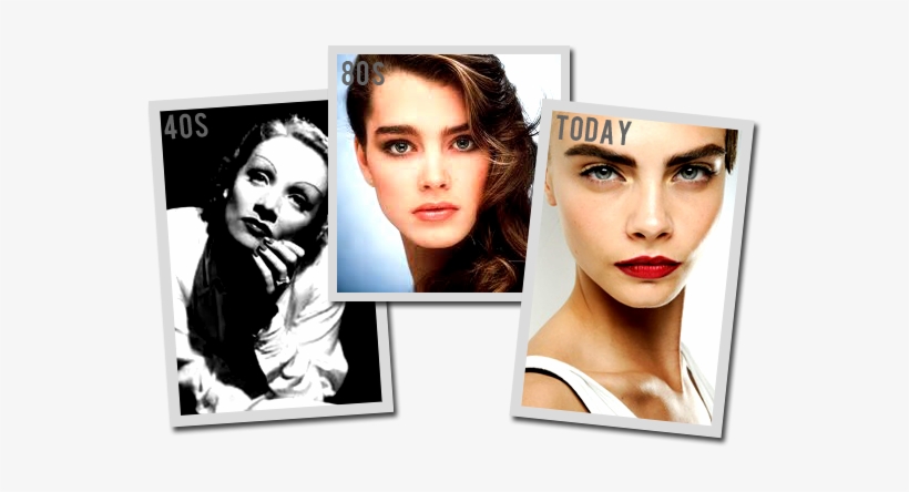 While The Last Few Decades Have Seen Brow Trends Run - Brooke Shields, transparent png