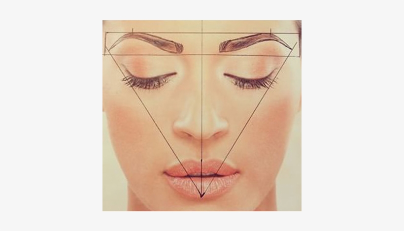 Curve Brows Certification Program - Golden Ratio In Eyebrows, transparent png