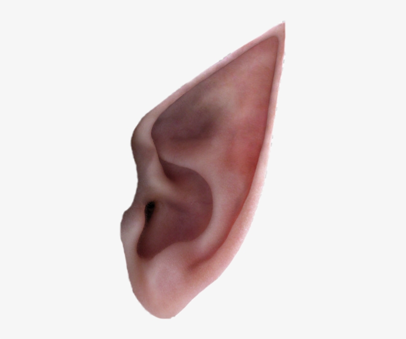 Report Abuse - Elf Ears Png, transparent png