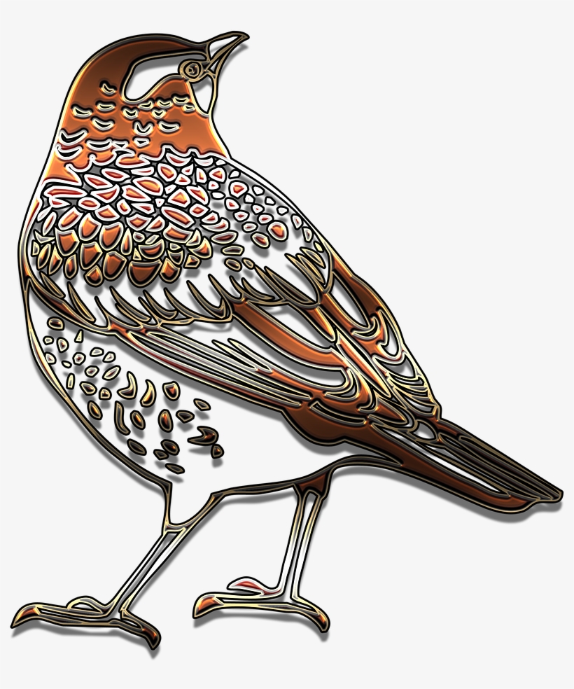 Outline Bird Beautiful - Outline Of Starling, transparent png