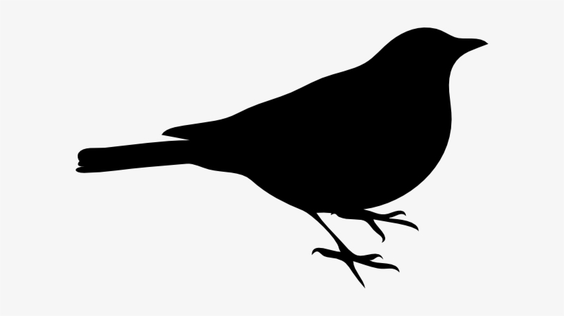 Bird Silhouette Clip Art - Bird Is The Word Sticker, transparent png