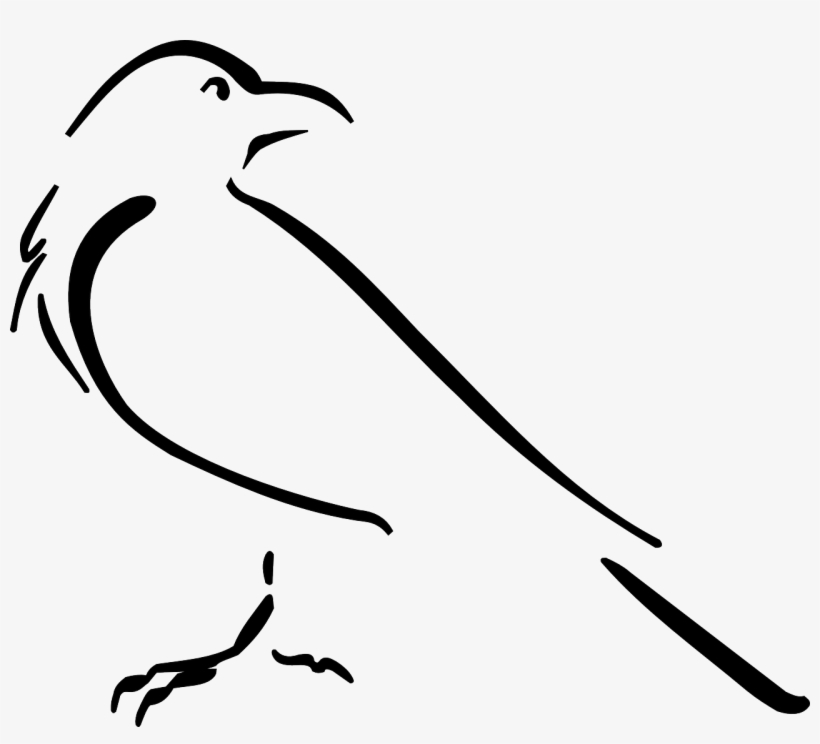 Announcing Bird Outline Drawing Free Image On Pixabay - Crow Line Art, transparent png