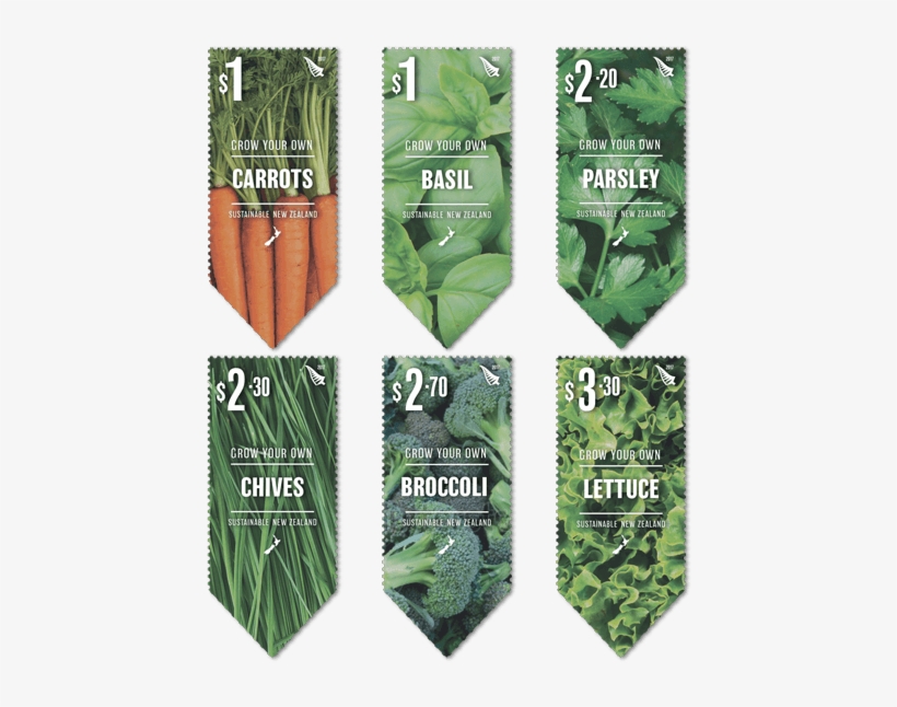 A Great Way To Save Money, Feel Good And Eat Healthy - Sustainable Development, transparent png
