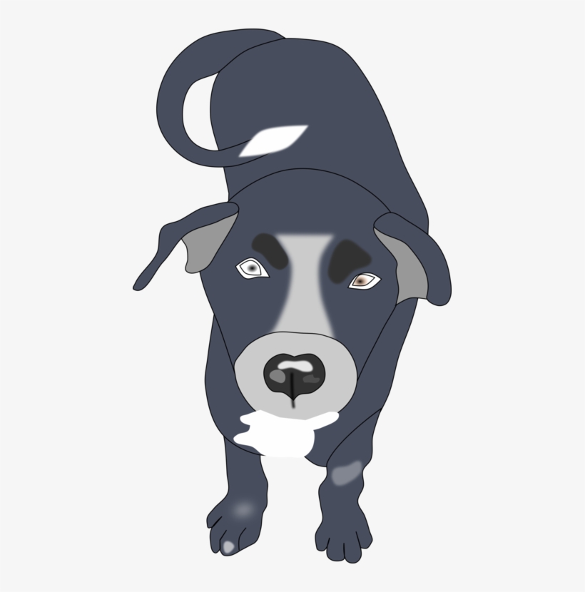 Dog Breed Bernese Mountain Dog Puppy Boxer Border Collie - Dog, transparent png