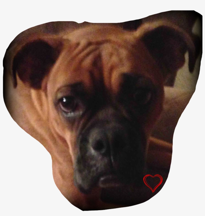 Boxer Boxerlove Boxerdog Dogsofpicsart Dogstickers, transparent png