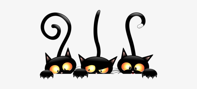 Halloween Black Cats - Witch Cat Png, transparent png
