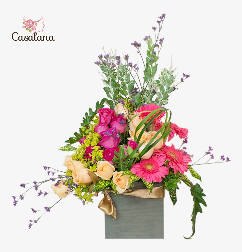 Source - - Haiphong, transparent png