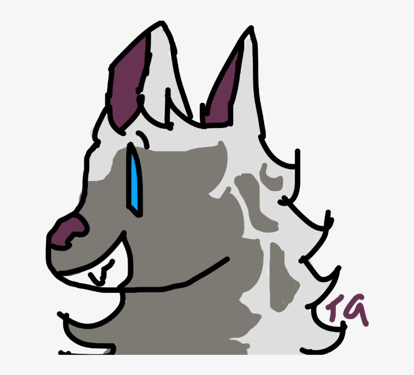 Opossum, transparent png