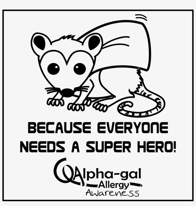Png Digital File - Opossum, transparent png