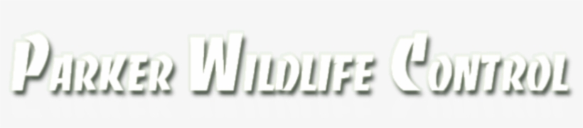 Covington - Mandeville - New Orleans - Slidell - Bat - Louisiana, transparent png
