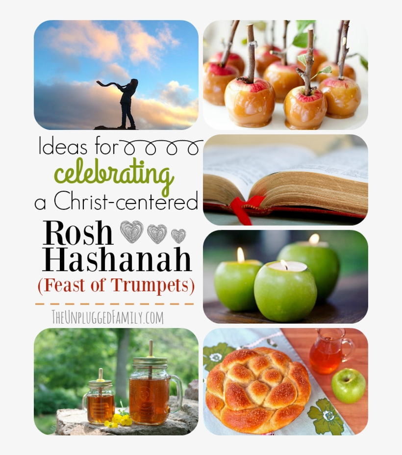 Rosh Hashanah Is One Of The 3 Major Biblical Festivals - Mcintosh, transparent png