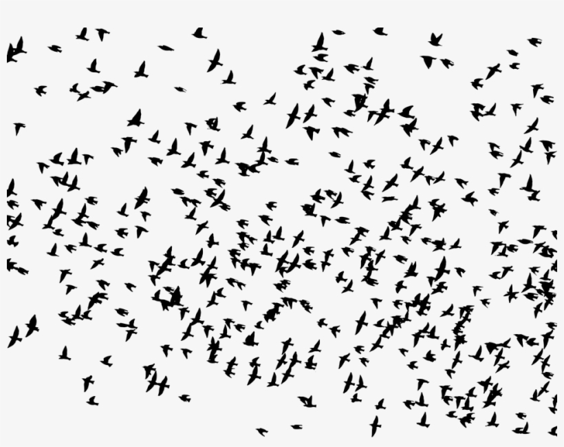 Flock, Birds, Animals, Flying, Silhouette - Flock Of Birds Flying Silhouette, transparent png