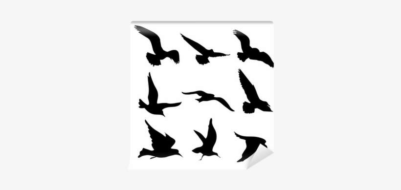 Flying Birds Silhouettes Illustration Wall Mural • - Sagome Uccelli In Volo, transparent png