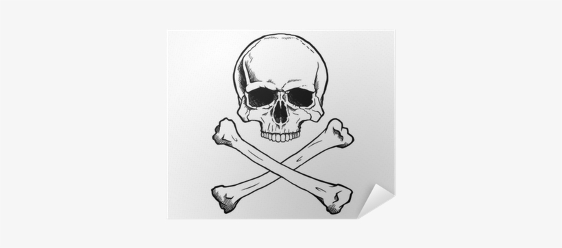 Black And White Human Skull And Crossbones - Calavera Clasica, transparent png