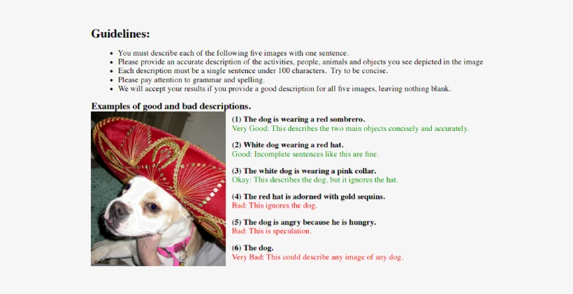 3 Collecting Datasets - Companion Dog, transparent png