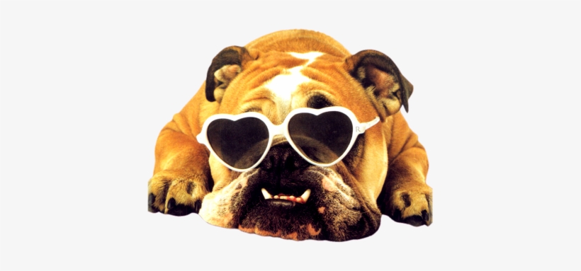 It's M - Happy 40th Birthday Graphics, transparent png