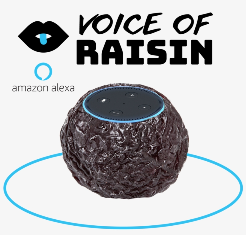 Voice Of Raisin Echo Dot, transparent png