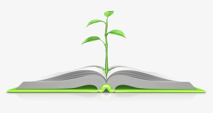 Bible, transparent png