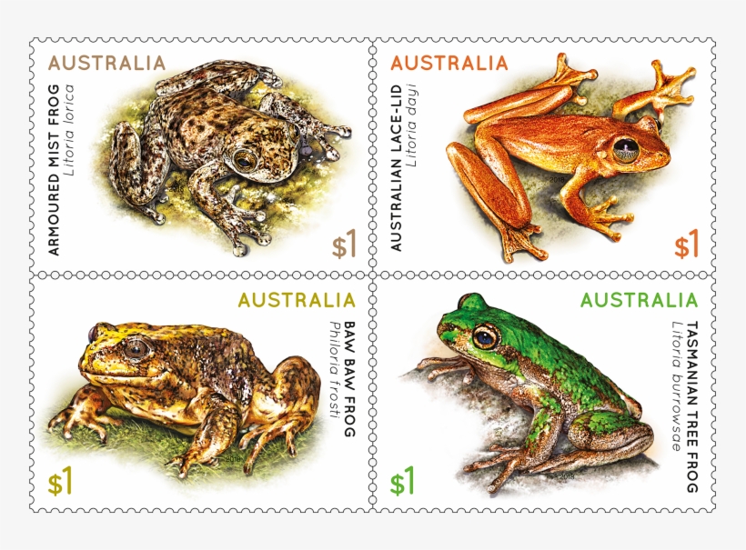 Set Of Stamps - Frogs Stamps Australia, transparent png