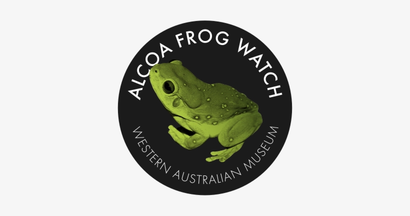 Alcoa Frog Watch - Frog, transparent png