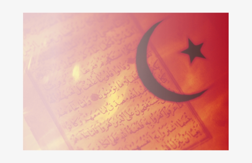 25 Icons Of Peace In The Qur'an: Lessons Of Harmony, transparent png
