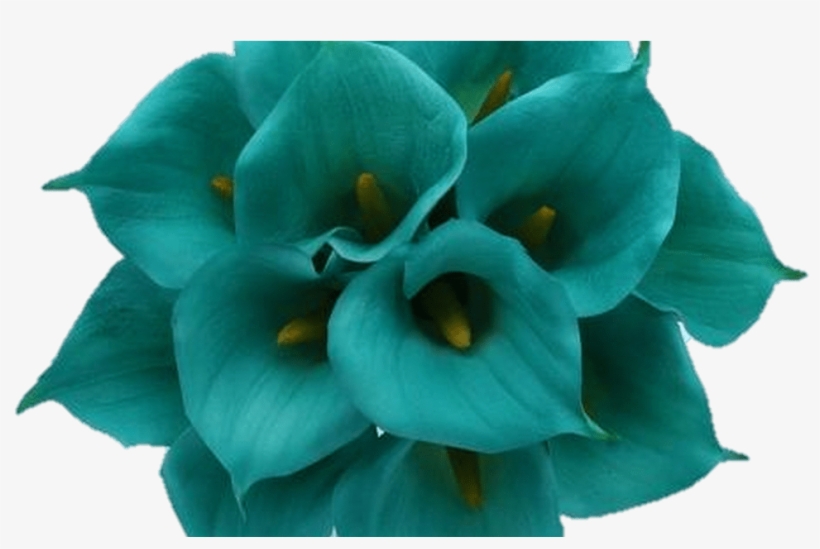 Pink Flower Png Flowers Red Light Pink - Ramo De Flores Turquesas, transparent png